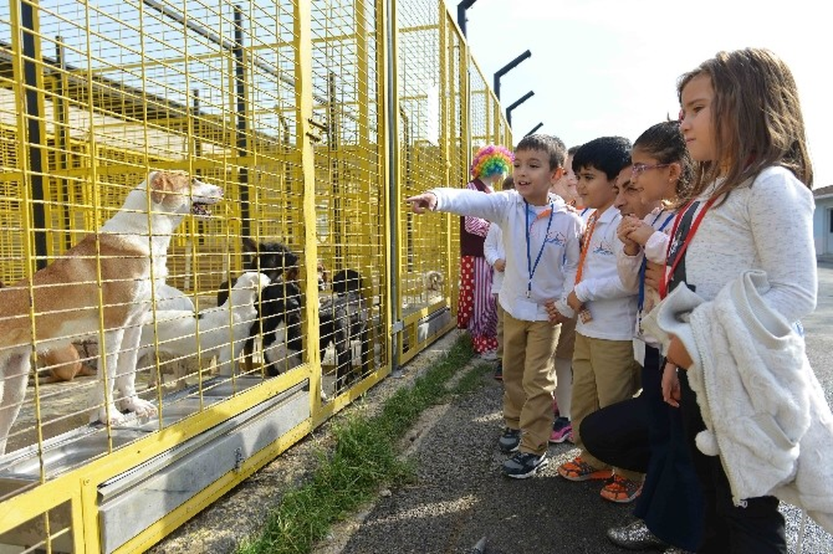 Can Dostlarını Ziyaret Ettiler