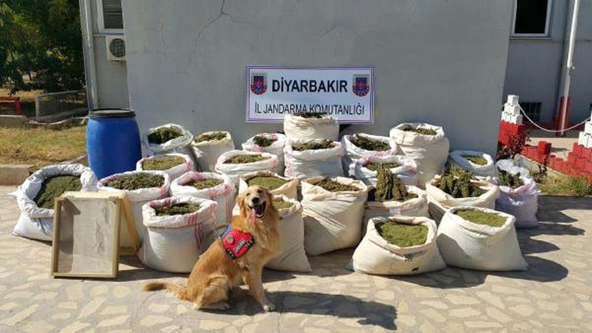 Diyarbakır\'da 466 Kilo Esrar Ele Geçirildi