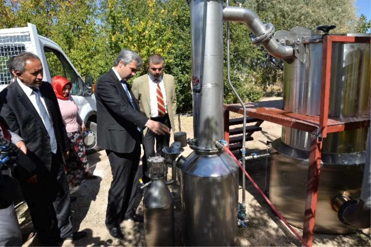 Kayseri\'de Bir İlke Daha İmza Atıldı: Lavanta Yağı Üretimi İçin Distilasyon Ünitesi Kuruldu