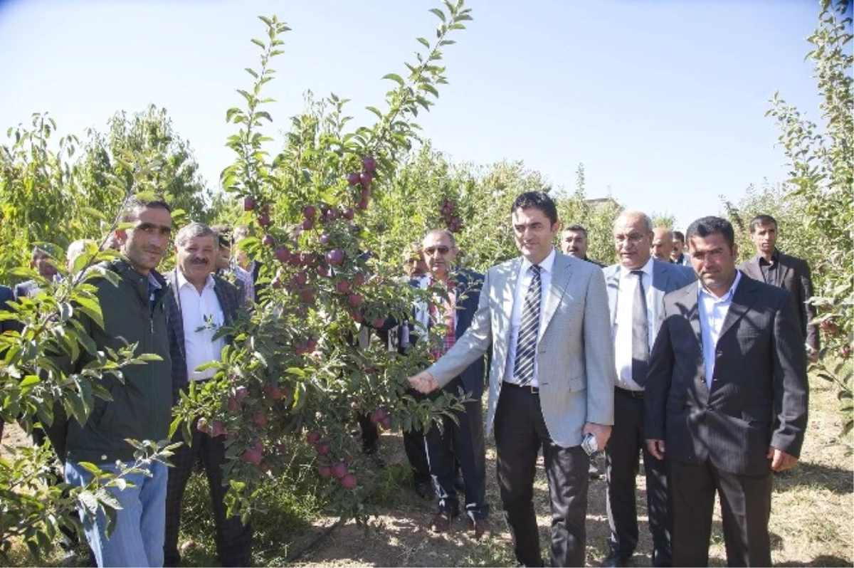 Meyvecilik Yeni Gelir Kapısı Oluyor