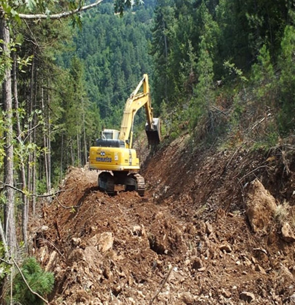 Orman Bölge Müdürlüğü\'den Samsun\'a 72 Proje