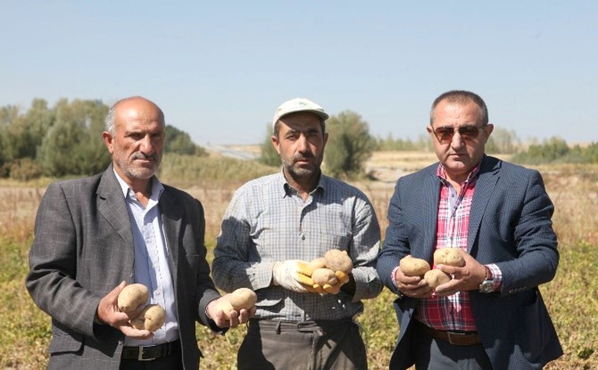 Ahlat\'ta Patates Hasadı Başladı