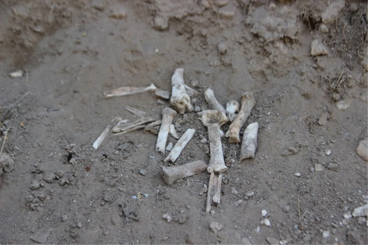 Toprak Kayması Sonrası Ortaya Çıkan Kemikler Merak Konusu Oldu