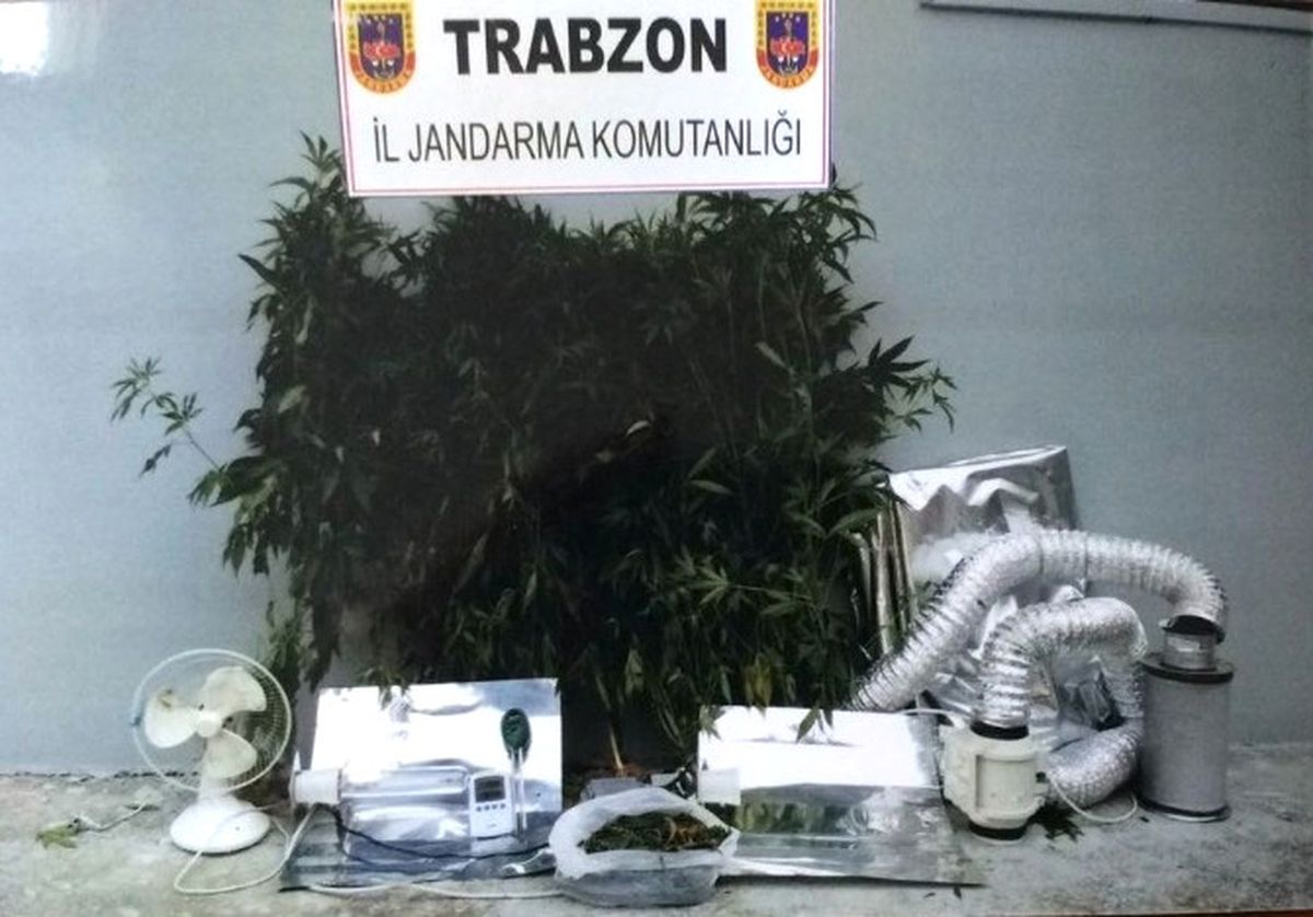 Trabzon\'da Özel Düzeneklerle Uyuşturucu Yetiştirilen Eve Baskın Düzenlendi