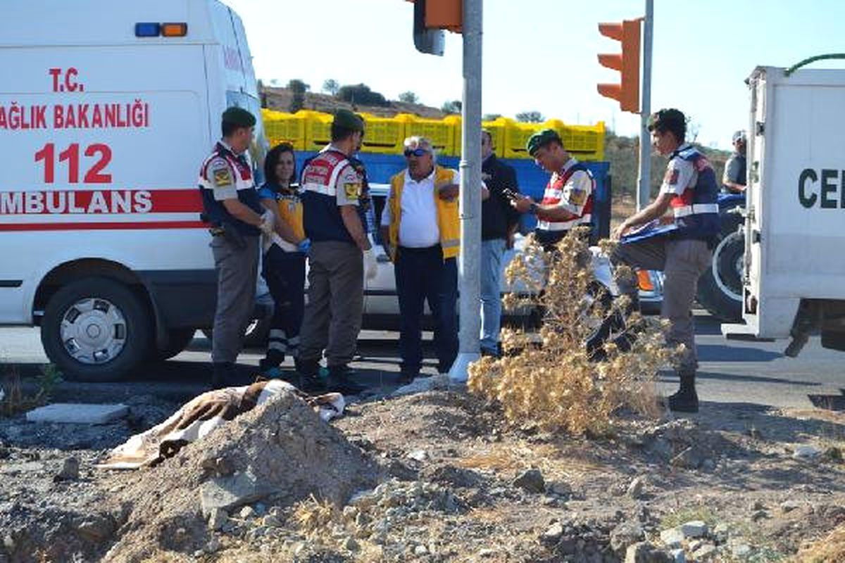 Yol Kenarında Ölü Bulundu