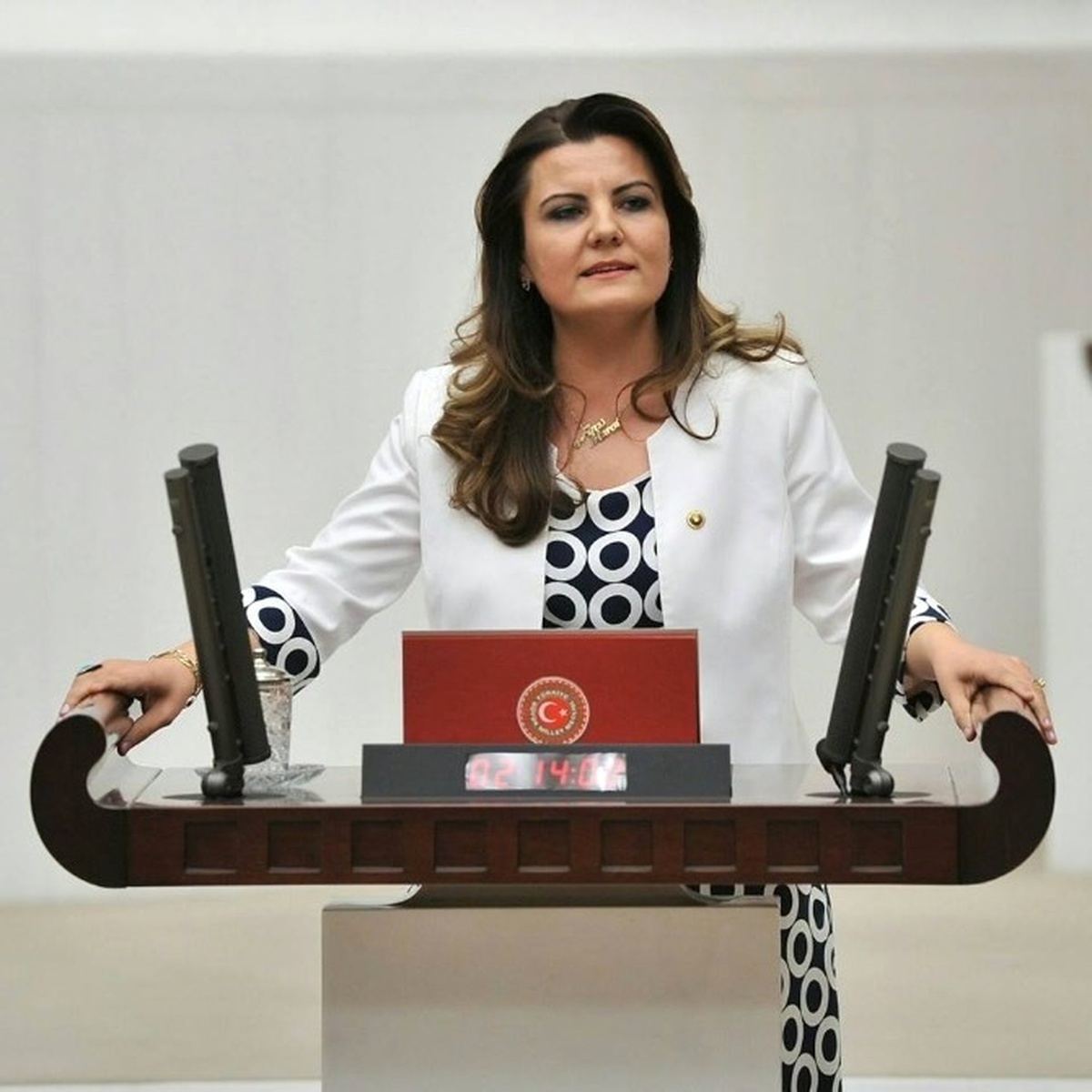 CHP Milletvekili Hürriyet, Taksici Cinayeti Meclise Taşındı