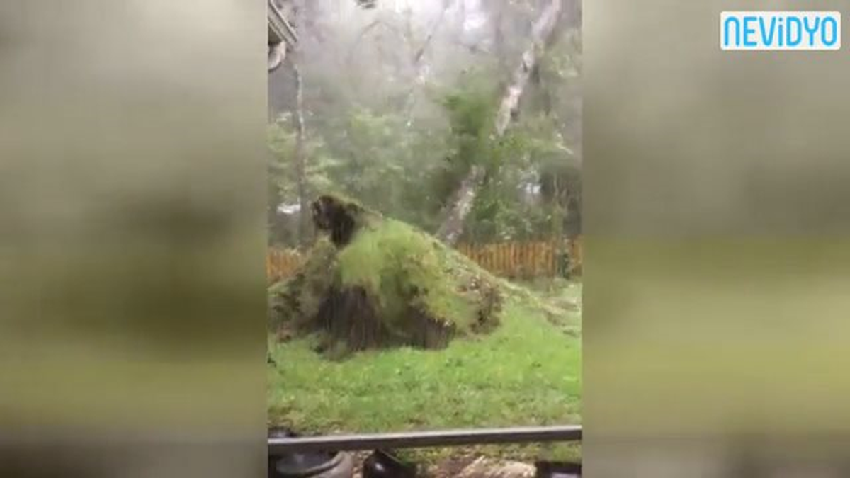Karayipler\'de Büyük Yıkım
