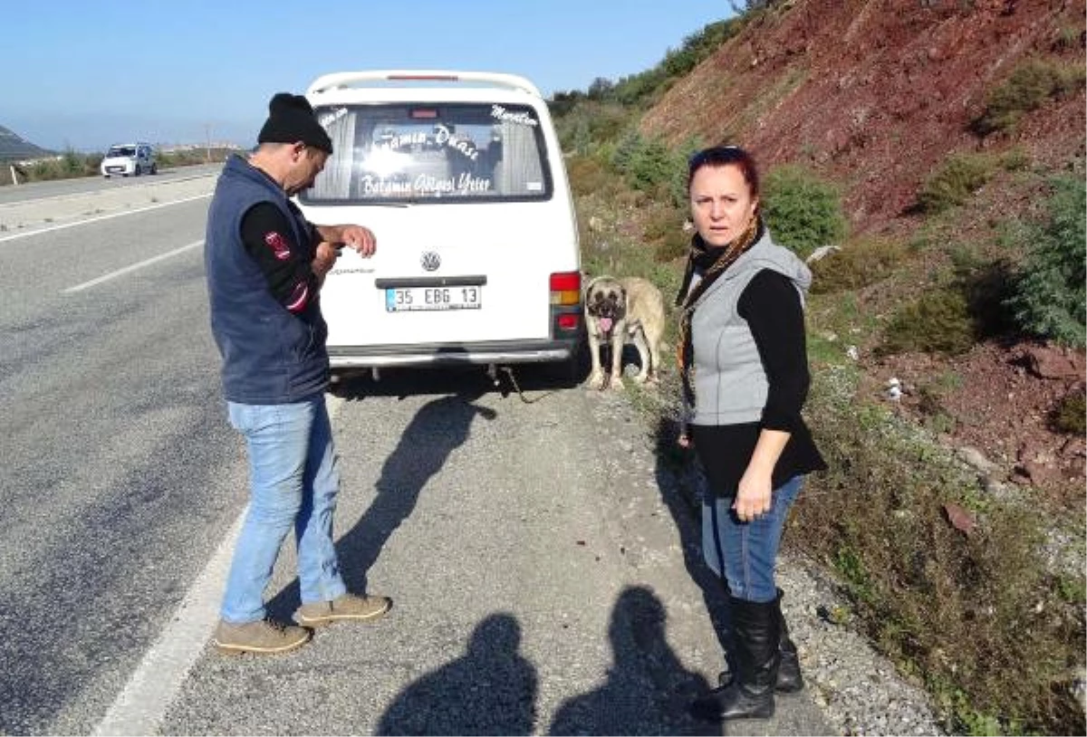 Köpeğe İşkence Yapan Çifte İkinci Ceza Geldi