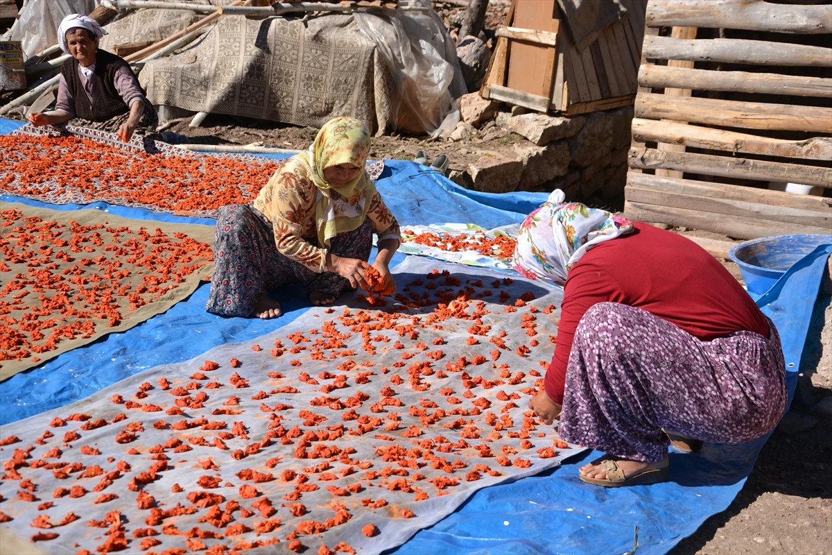 Köylü Kadınların Tarhanası Gelir Kaynağı Oldu