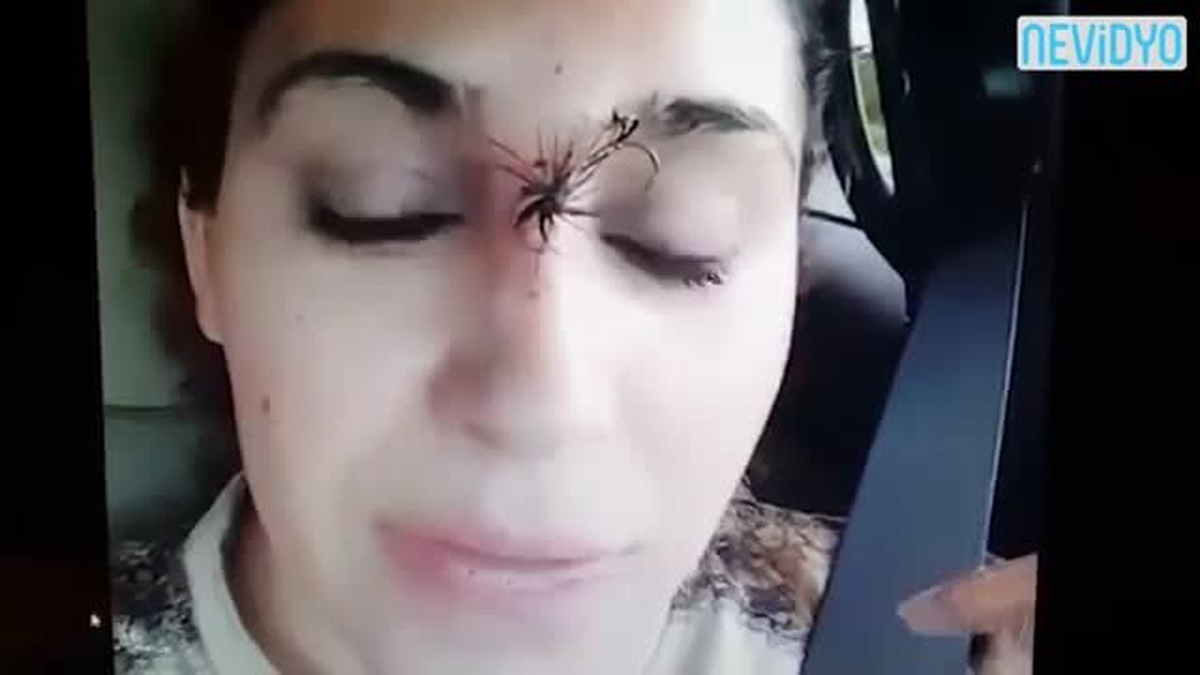 Oltayla Kendisini Yakaladı