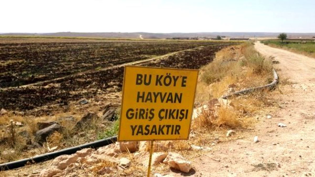Siverek\'te Kuduz Karantinası