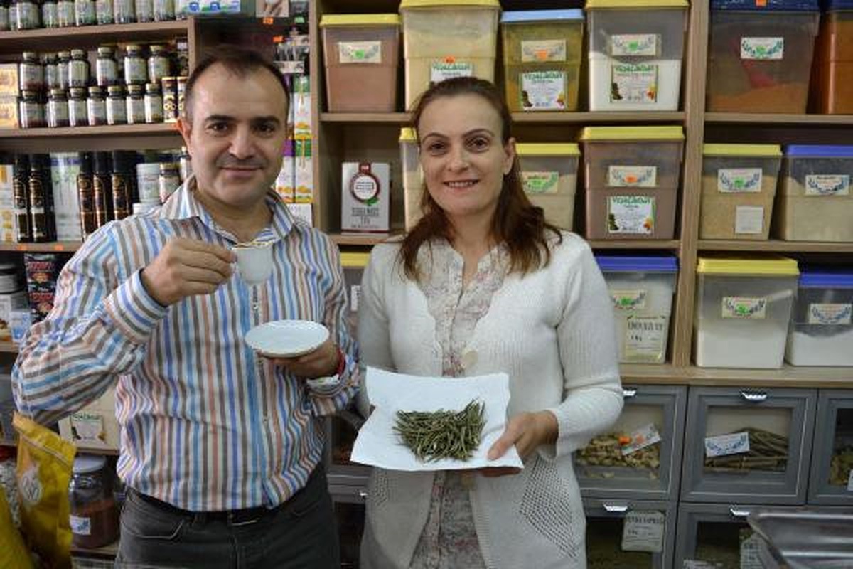 Zeytinin Kahvesi Geliyor