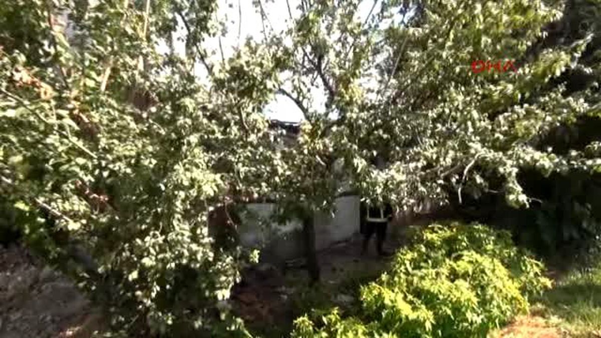 Antalya Boş Gecekondu Kül Oldu