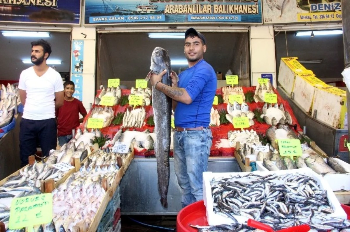 Gastronomi Kenti Gaziantep\'te Balık, Kebabın Gölgesinde Kaldı