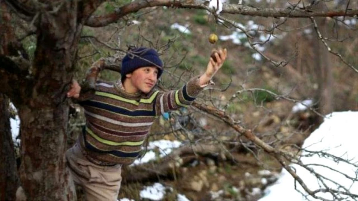 Kalandar Soğuğu, Hamburg'dan Ödülle Döndü