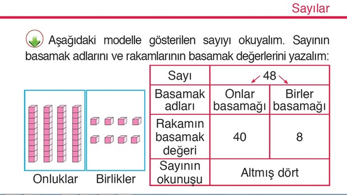 Milli Eğitim Matematik Kitabına Göre 48\'in Okunuşu \'Altmışdört\'