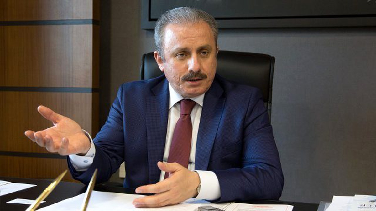 TBMM Anayasa Komisyonu Başkanı Şentop Açıklaması
