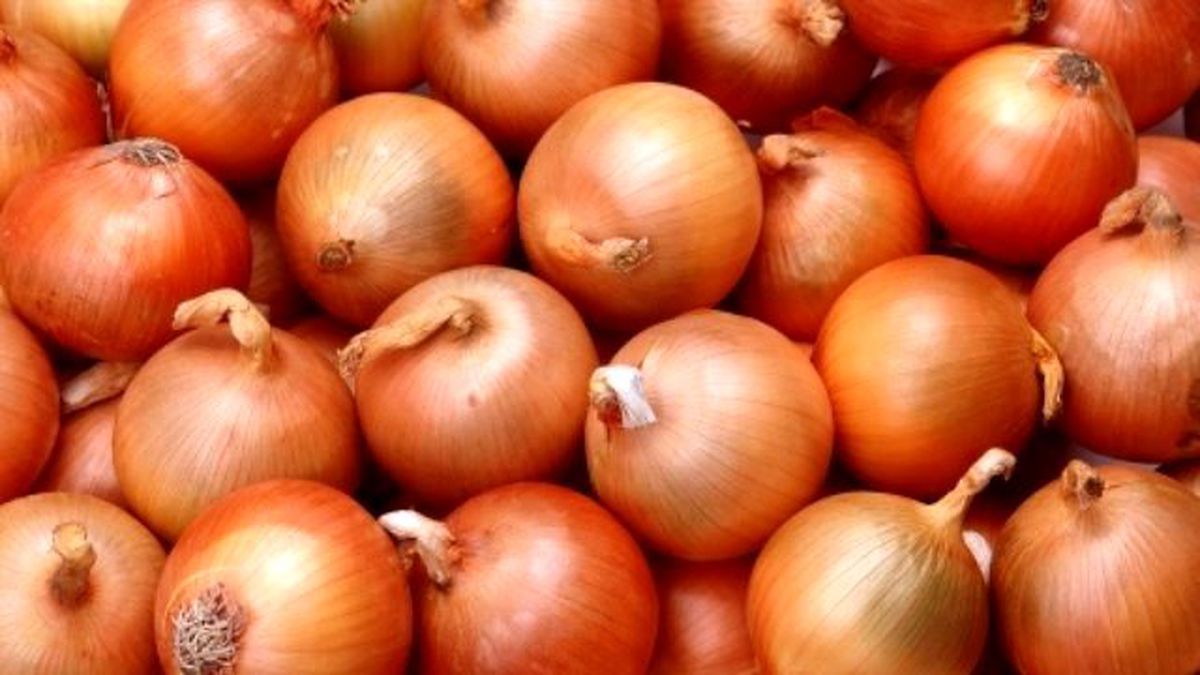 Başkent\'te Soğan Çiftçiyi Bu Sene Üzdü