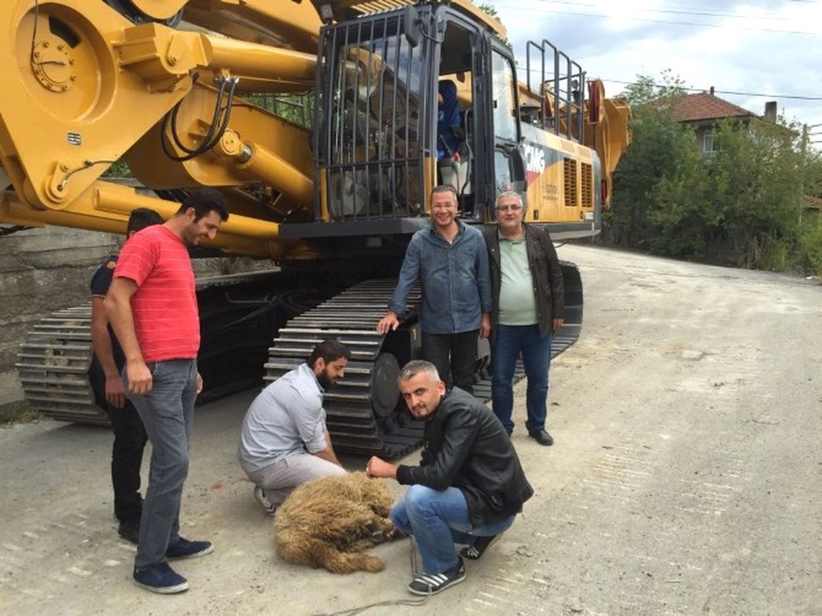 Çebioğlu\'ndan Dev Yatırım