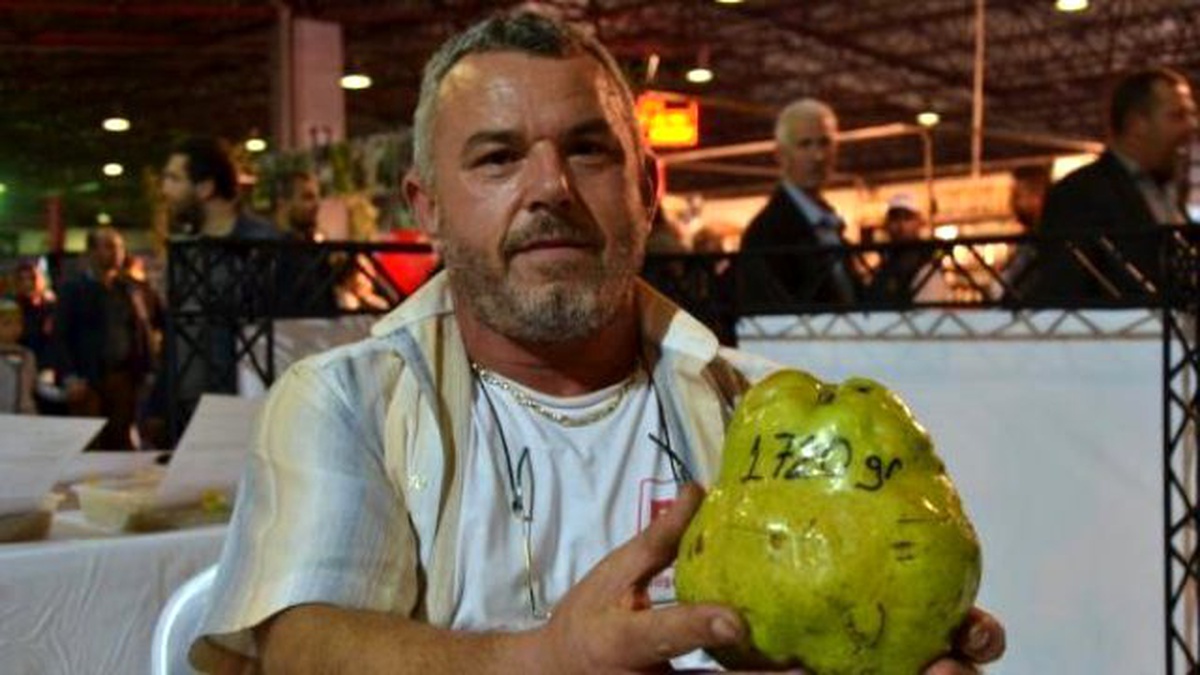 Görüntülü Haber)bu Armut 1 Kilo 720 Gram Ağırlığında