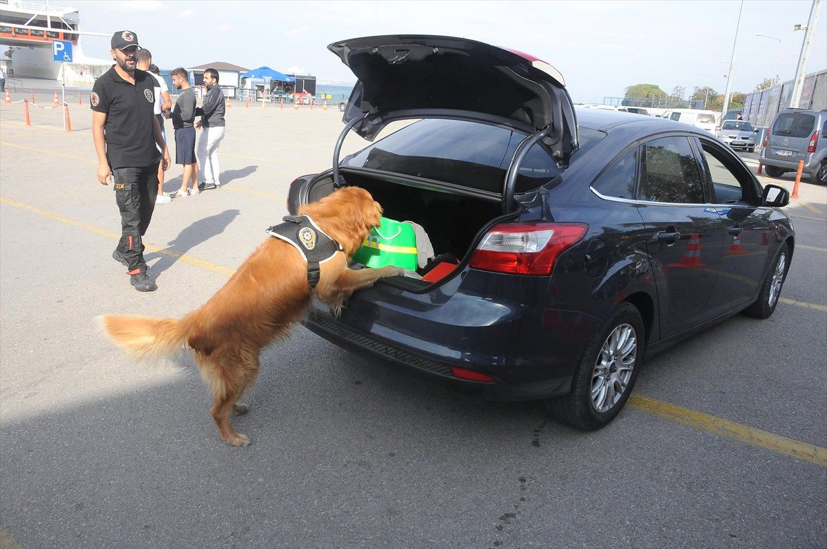 İdo\'da Dedektör Köpekli Denetim