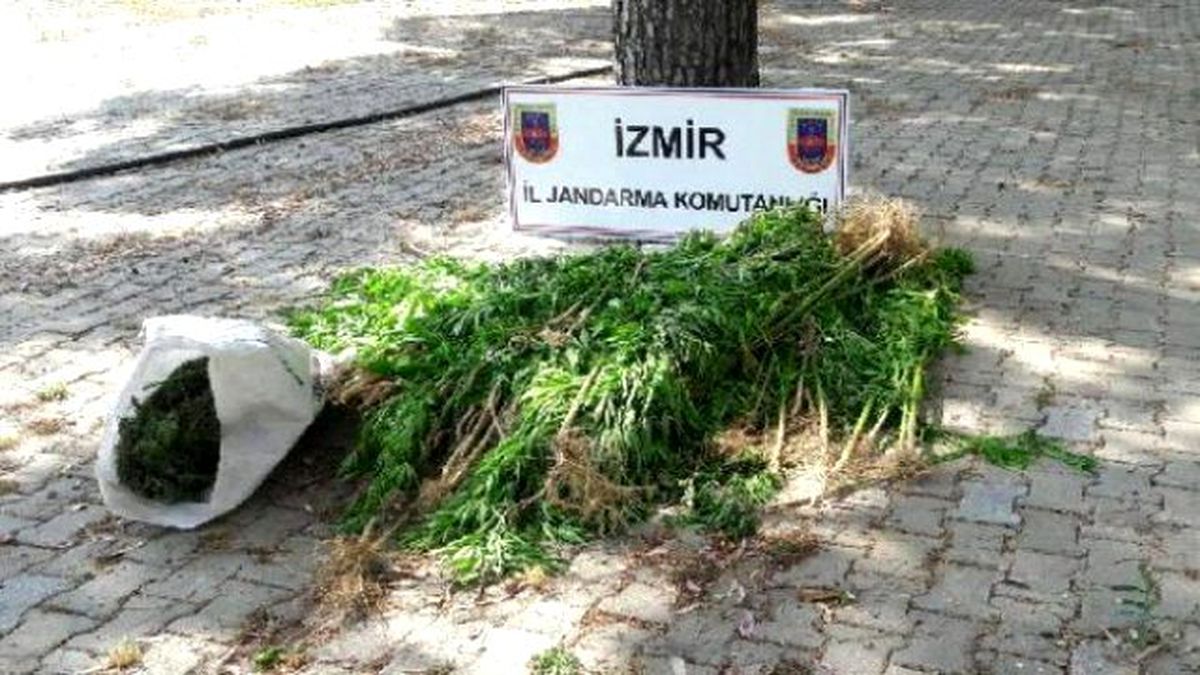 İzmir\'de Uyuşturucu Operasyonu