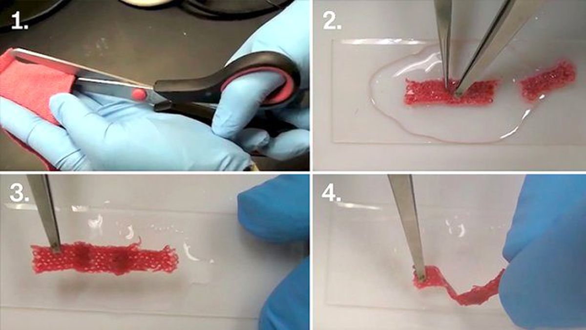 Kendini Yenileyen Biyolojik Kıyafetler Devri Başlıyor