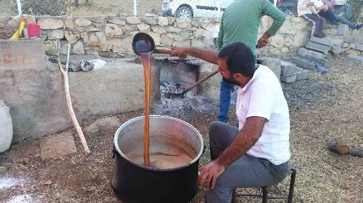 Kulp\'ta Bağ Bozumu Başladı