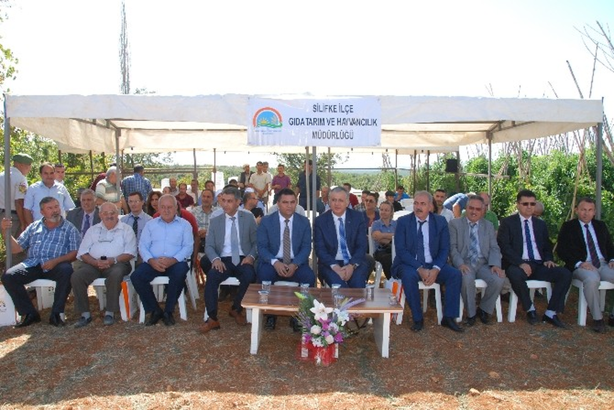Silifke\'de İyi Tarım Uygulamaları Sertifika Dağıtım ve Tarla Günü Etkinliği