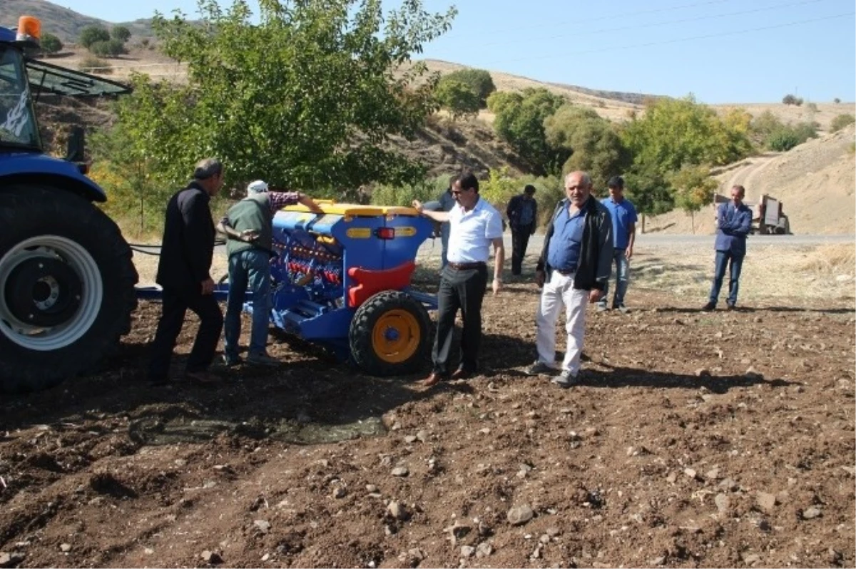 Tunceli\'de Ayyıldız Buğdayı Ekimi Gerçekleştirildi
