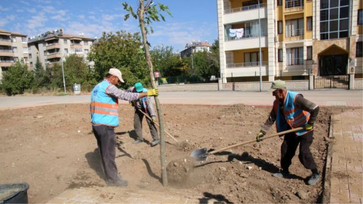 Ataşehir Mahallesi\'nde Ağaçlandırma Çalışmaları Devam Ediyor