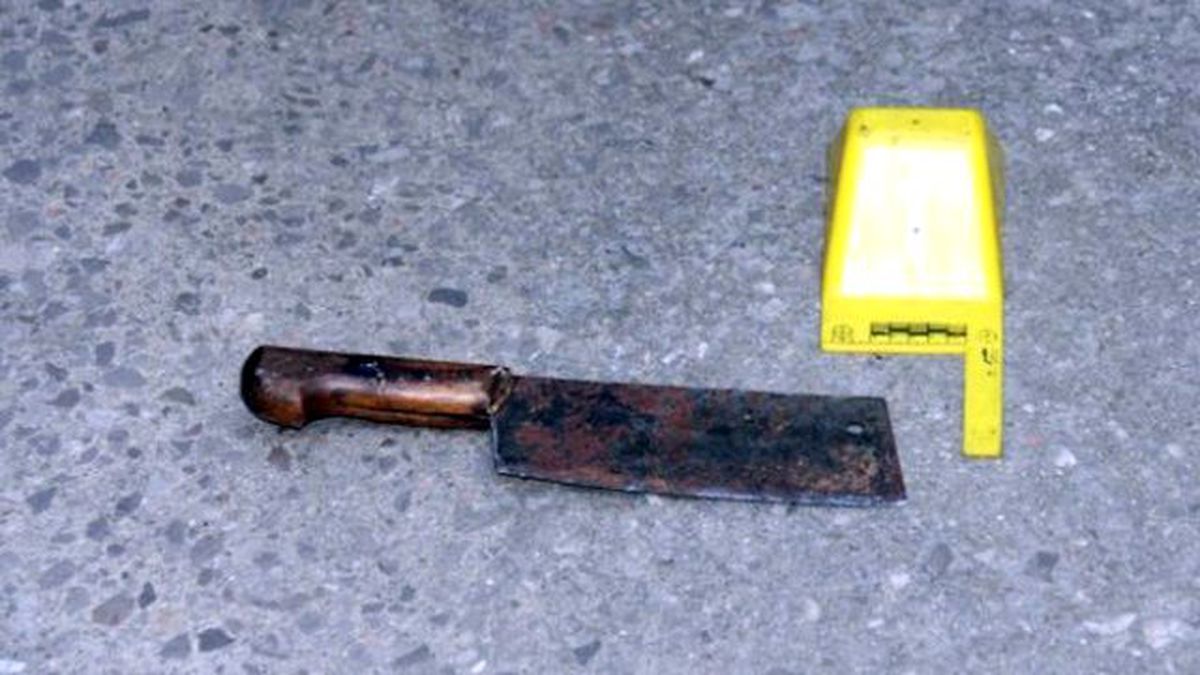 Babasıyla Tartışan Lise Öğrencisi, Uyuyan Babasını Satırla Öldürdü