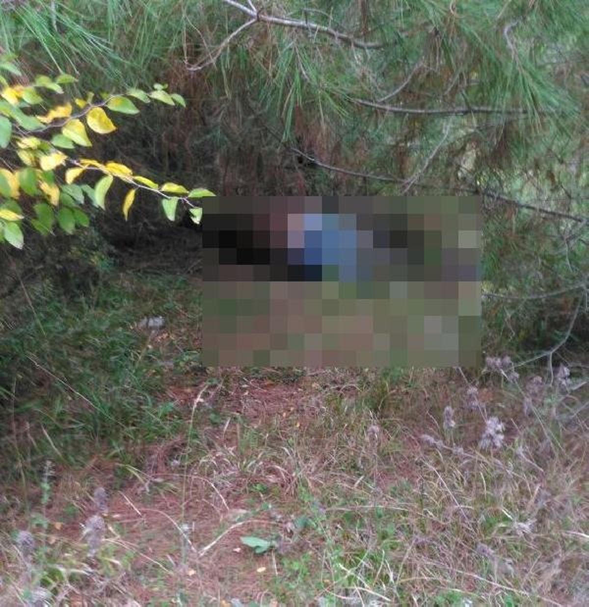 Bursa\'da 20 Gündür Kayıp Olan Yaşlı Adam Paramotor ile Havadan Aranıyor (2)
