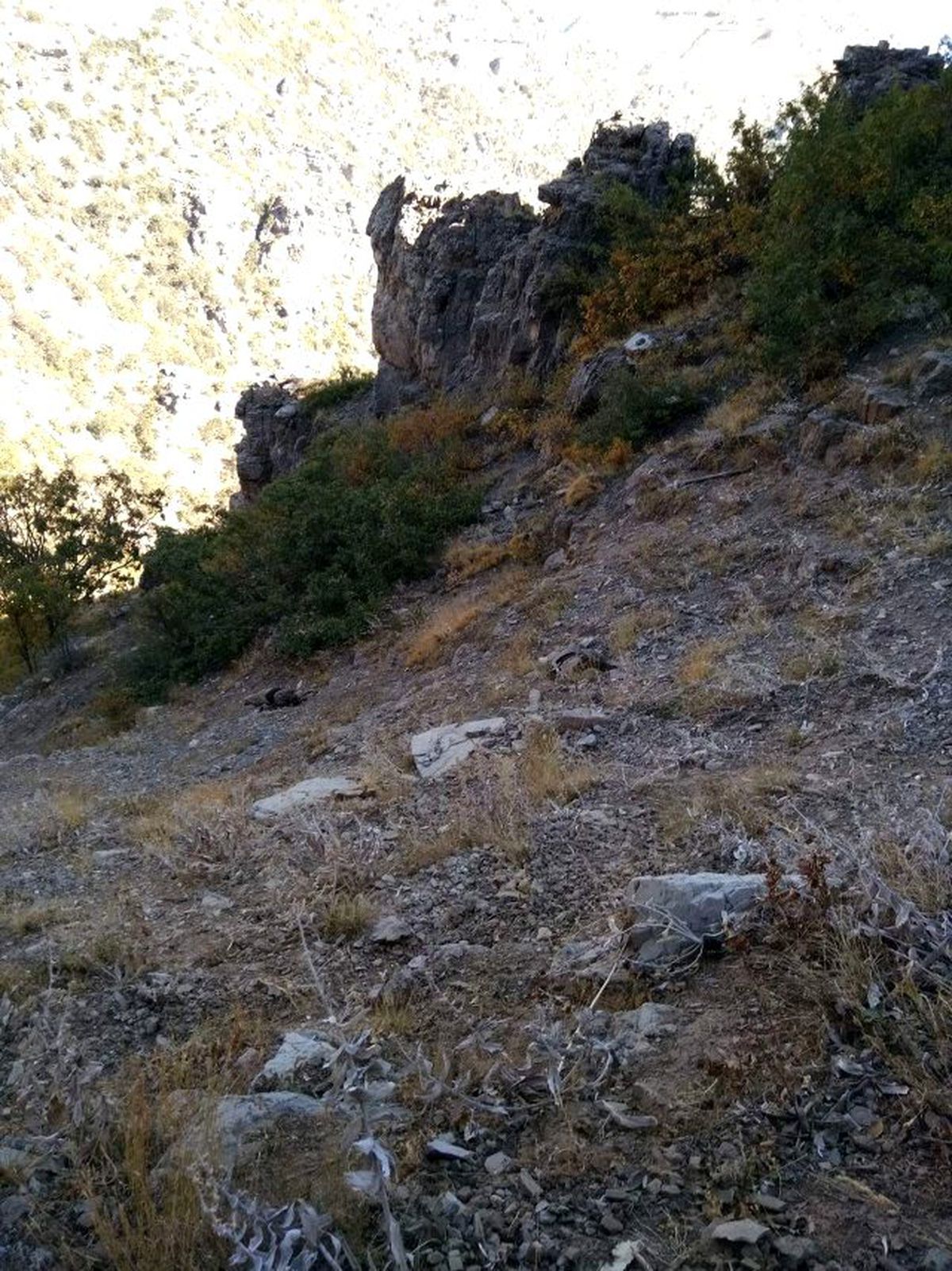 Çukurca'da 2 Teröristin Cesedi Bulundu