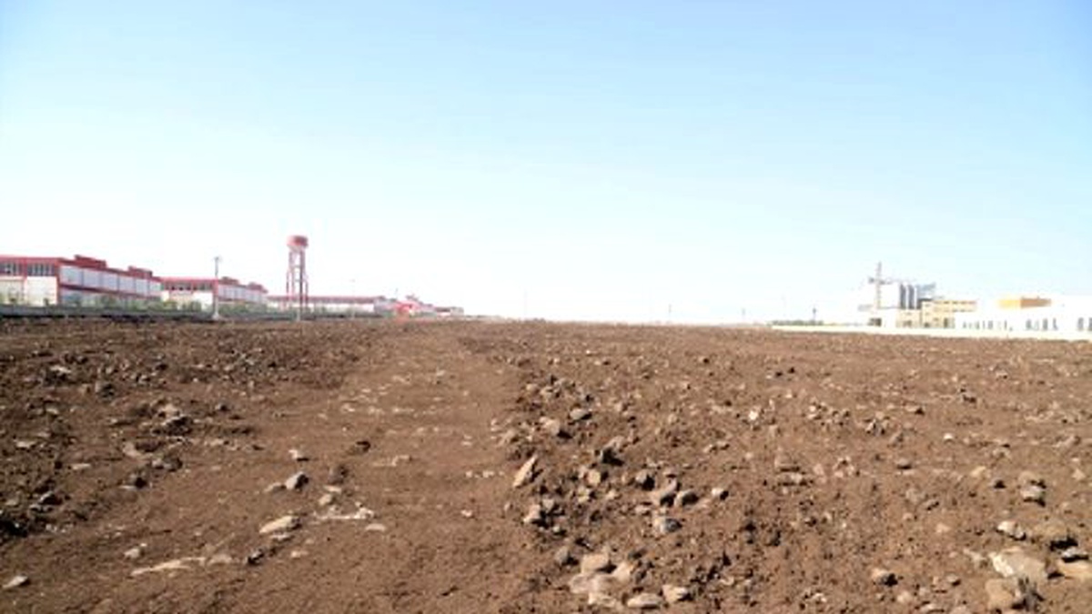 Diyarbakır\'da 42 Dönümlük Meyve Bahçesi Oluşturuluyor