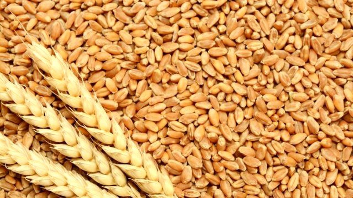 Edirne Ticaret Borsası