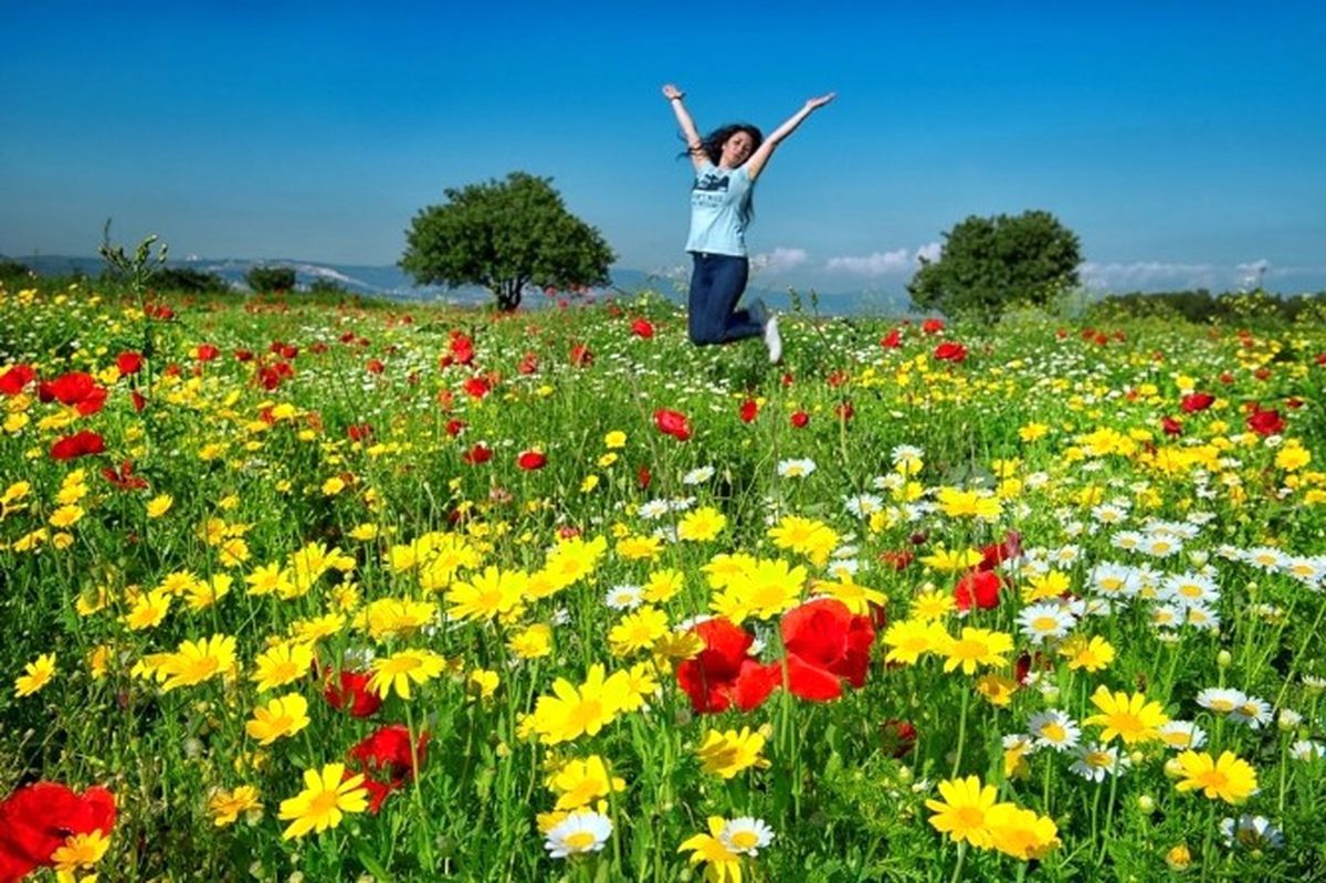 Fotoğraflar Yarışıyor