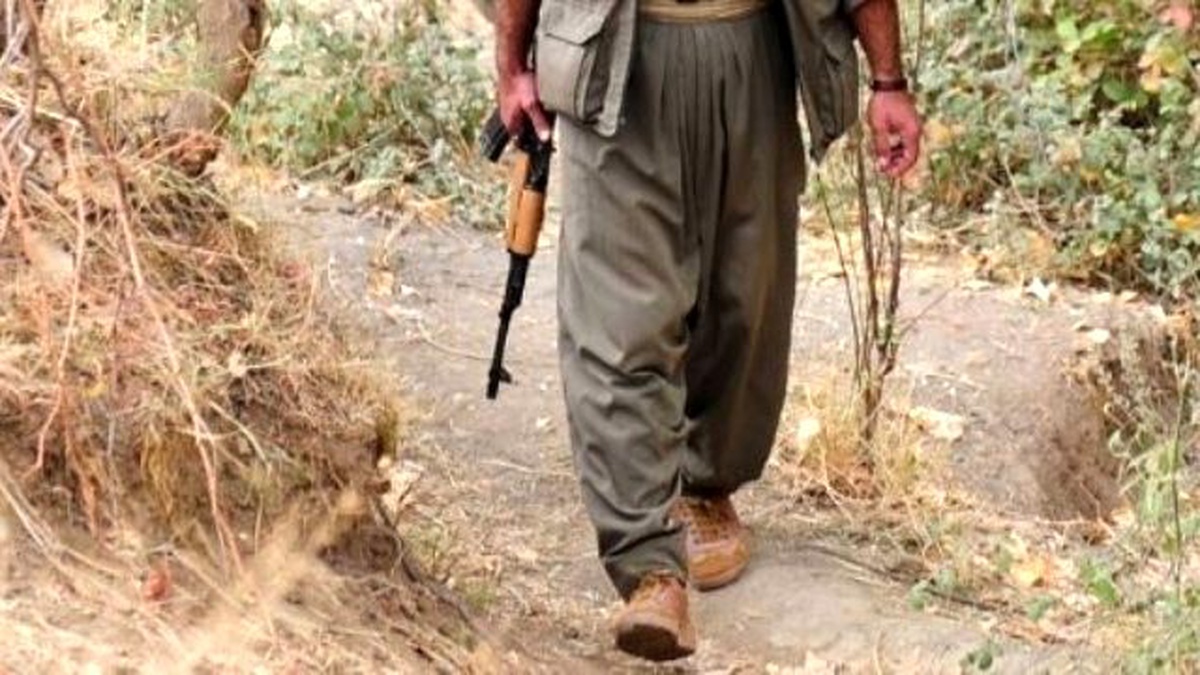 Hakkari\'de PKK Üyesi Bir Kişi Yakalandı