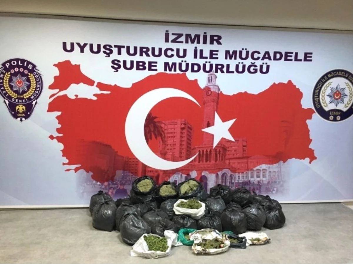 İzmir\'de 70 Kilo Bonzai Ele Geçirildi