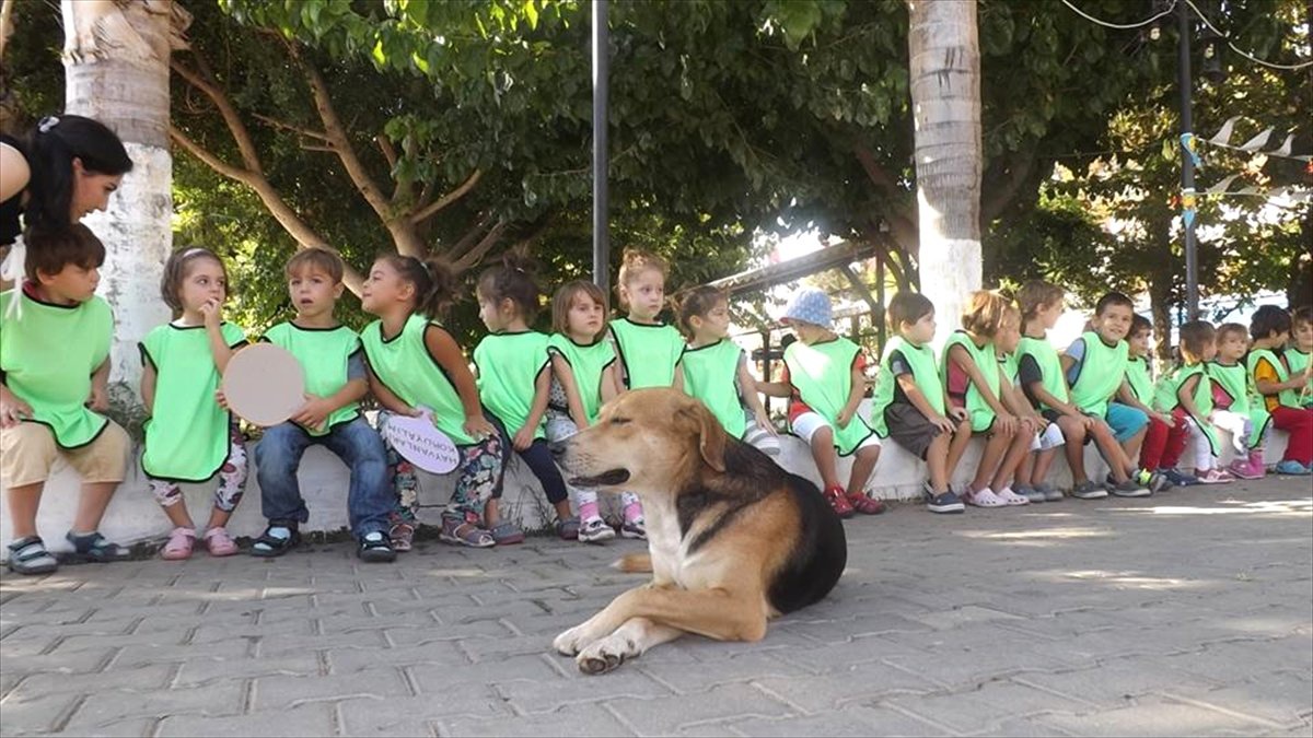 Kaş\'ta Sokak Hayvanları Yararına Kermes Düzenlendi