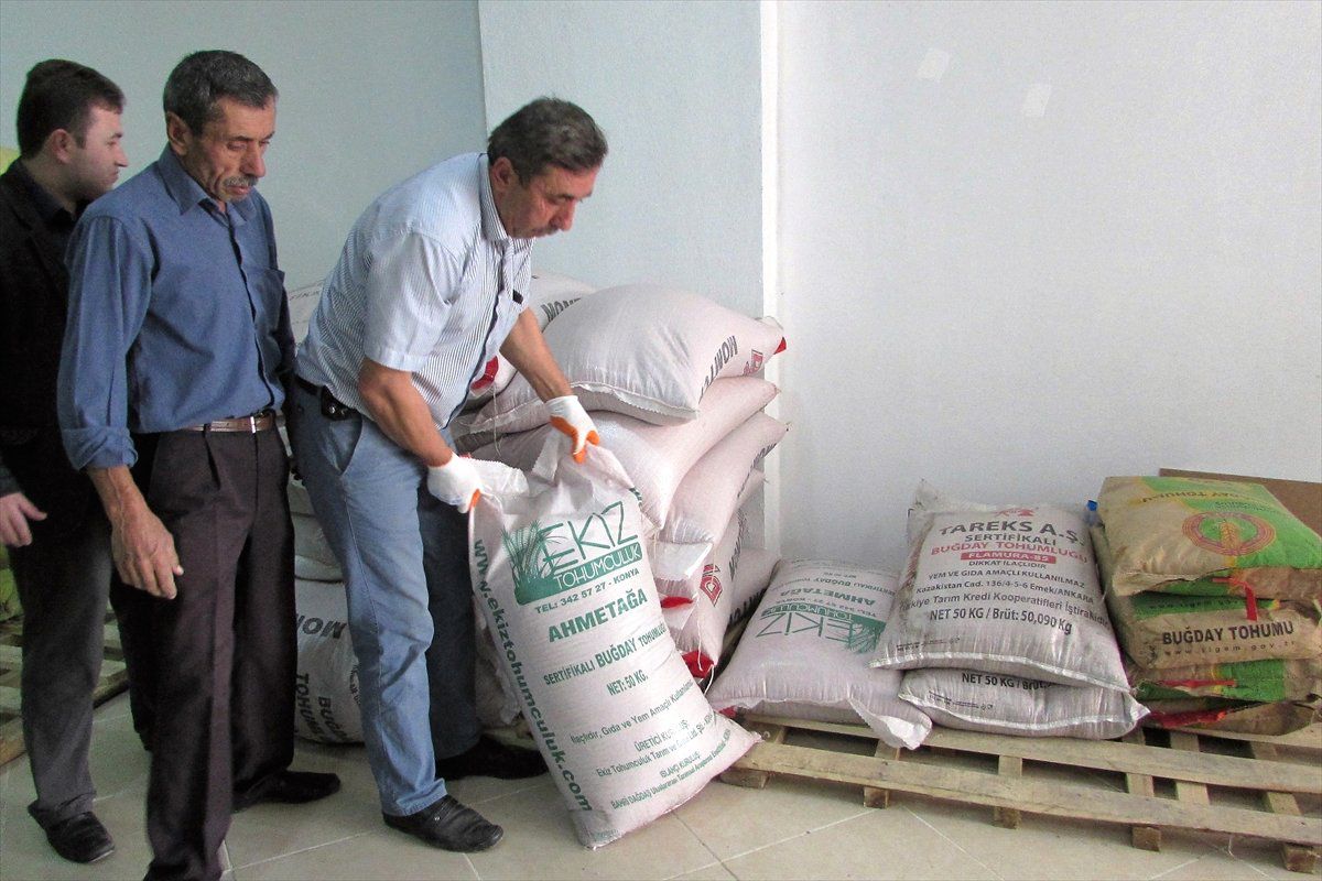 Kavak\'ta Çiftçilere Sertifikalı Buğday Tohumu Veriliyor