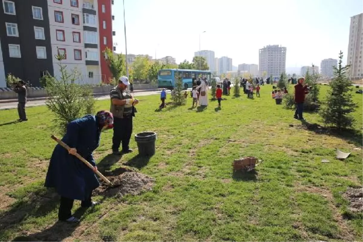 Melikgazi Belediyesi Fidanları Toprakla Buluşturuyor