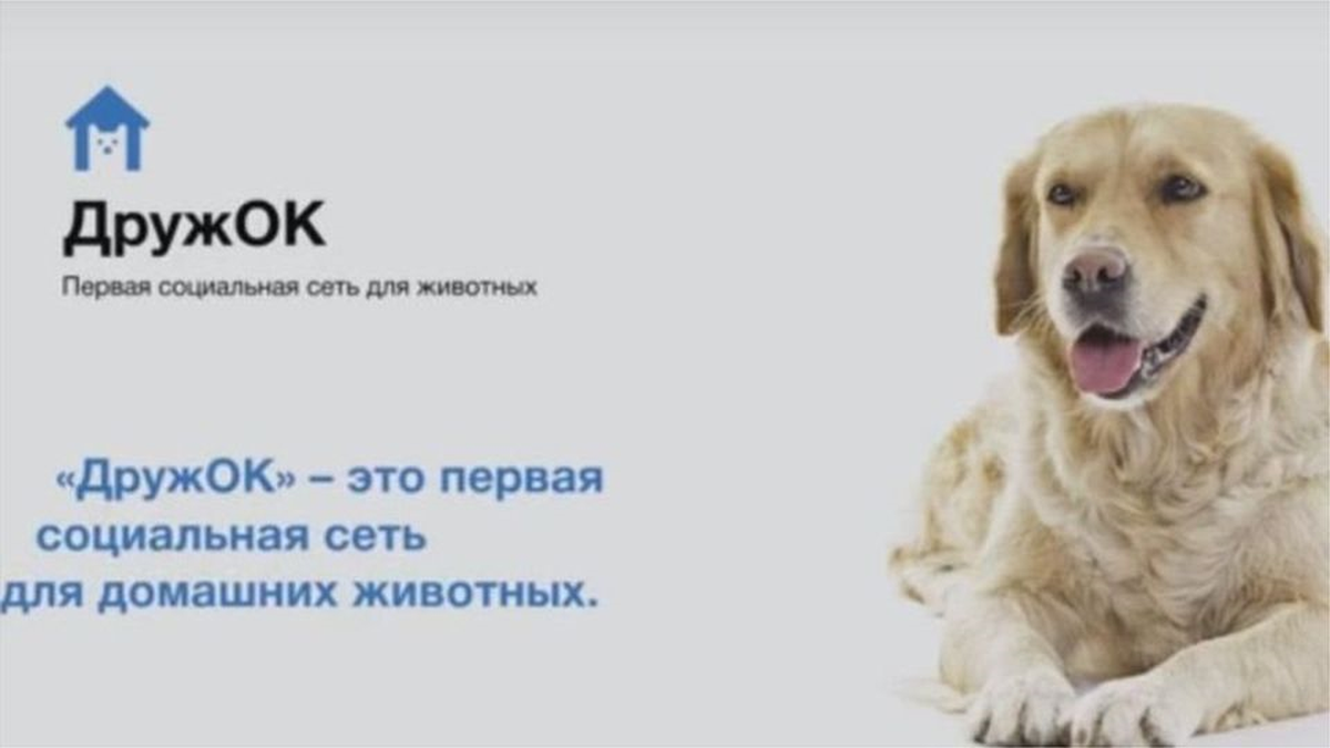 Rusya\'da Köpekler İçin \'Facebook\' Geliyor