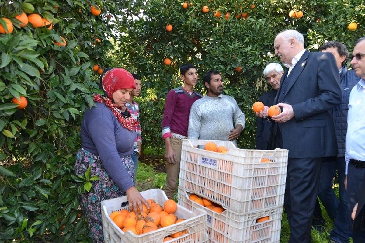 Tzob Genel Başkanı Şemsi Bayraktar Açıklaması