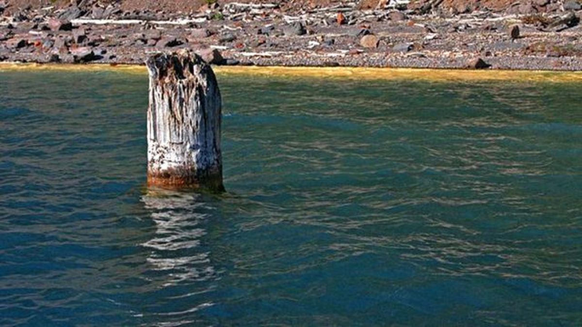 120 Yıldır Suyun Üzerinde Batmadan Duruyor