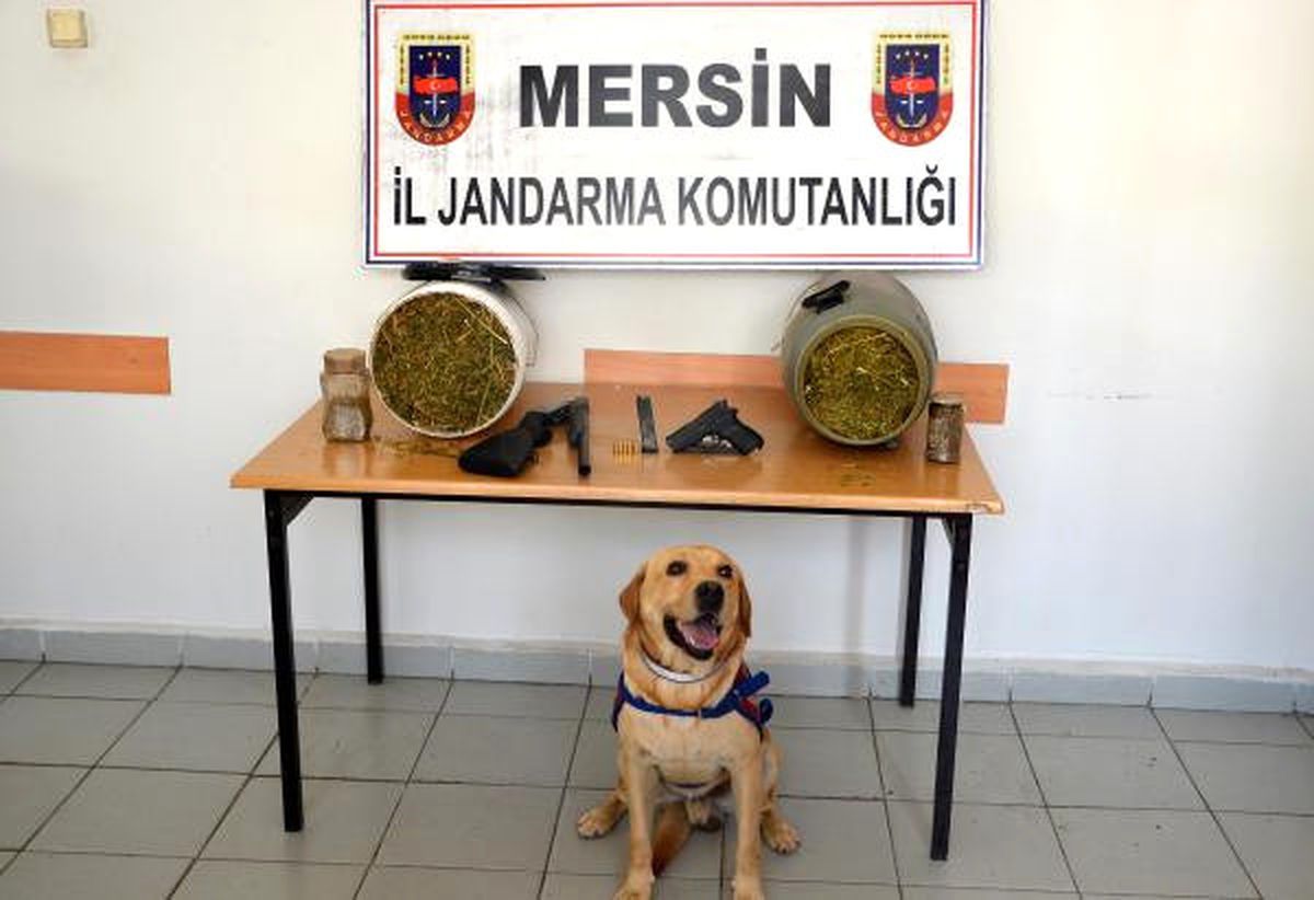 Anamur\'da Uyuşturucu Operasyonunda 6 Kiye Esrar Ele Geçti