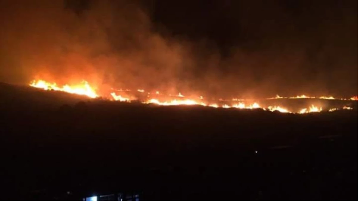 Bursa\'da Büyük Orman Yangını