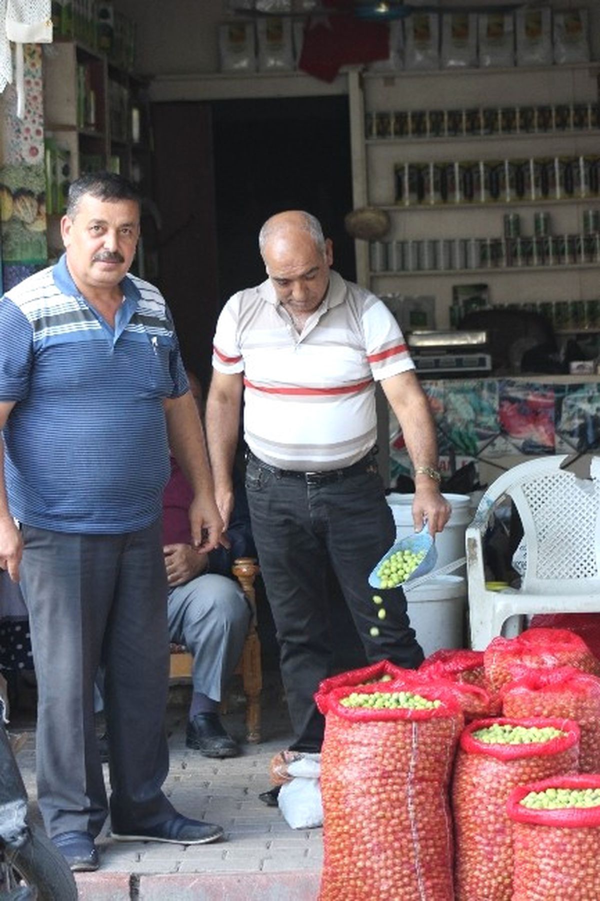 Kilis\'te Sofralık Yeşil Zeytin Piyasada