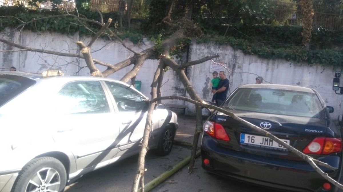 Lodostan Devrilen Ağaç Park Halindeki 5 Aracın Üzerine Düştü