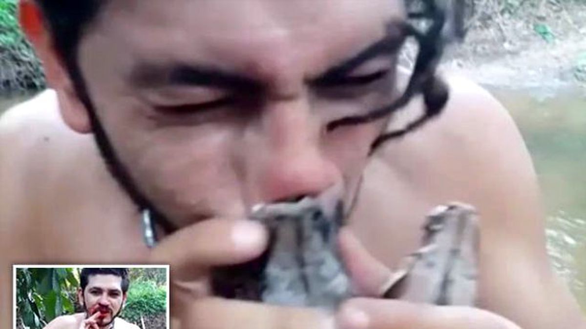 Örümceği Yerken Yılanın Saldırısına Uğradı